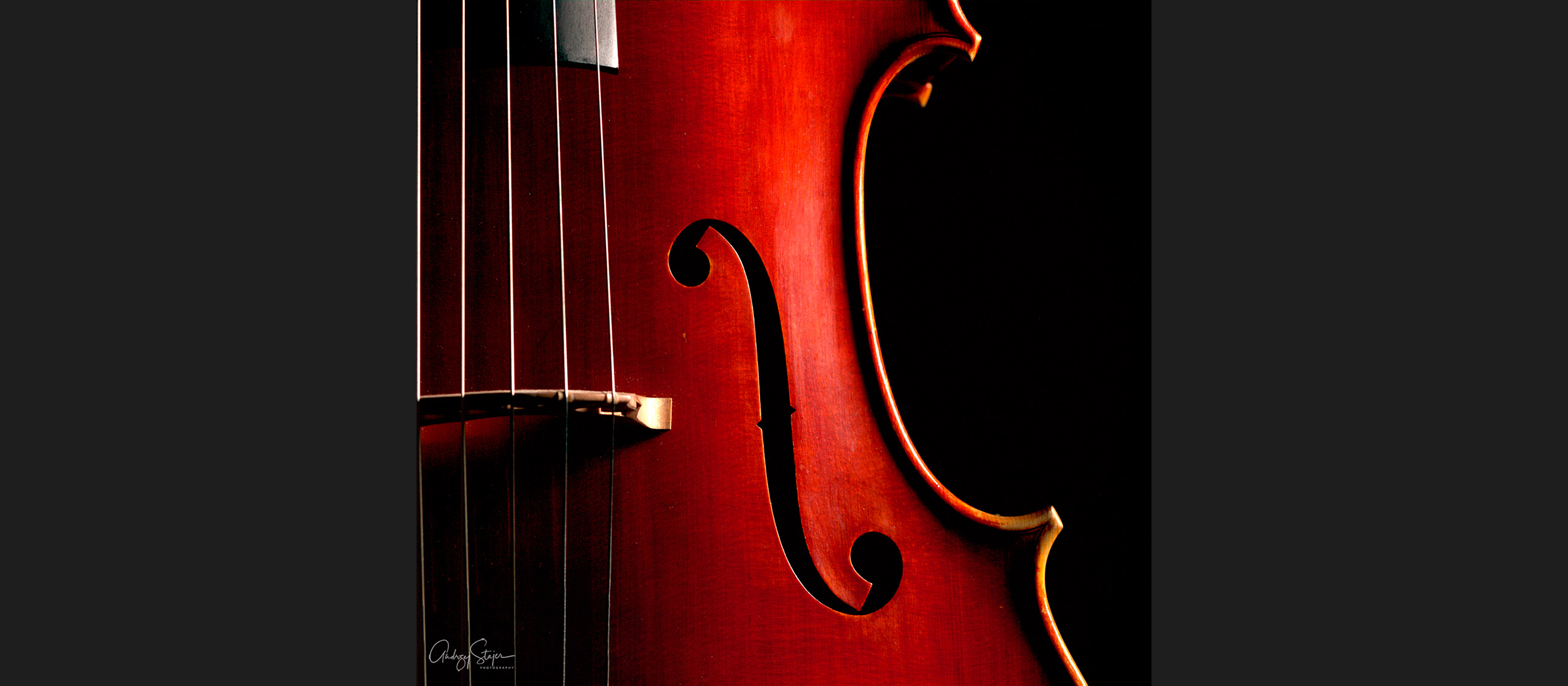 wiolonczela01.jpg